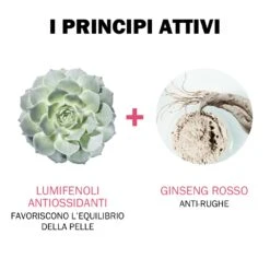 Jowae Jowaé Siero Contorno Occhi Levigante Anti Rughe 15 Ml -Offerte Cosmetici Negozio 3664262000047.04