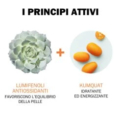 Jowae Jowaé Crema Maschera Viso Idratante Energizzante Rigenerante Notte 40 Ml -Offerte Cosmetici Negozio 51384 5