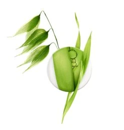 A Derma A-Derma BIOLOGY A-R Trattamento Dermatologico Anti-rossori 40ml -Offerte Cosmetici Negozio aderma a d biology tratt antir 78484 1 3 1638870877