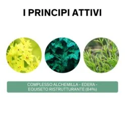Lierac Phytolastil Fiale Correzione Smagliature 20 X 5 Ml -Offerte Cosmetici Negozio lierac phytolastil favorisce la regressione delle smagliature 20 fiale 3 1608593724