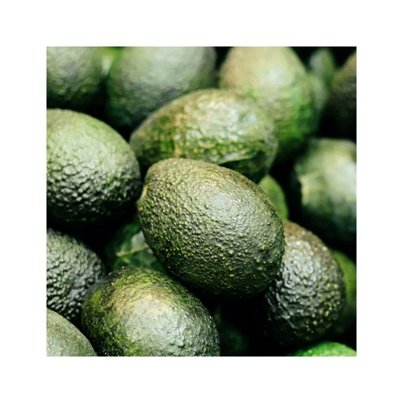 Rausch Balsamo Colorprotettivo All'avocado 200ml 5 Rausch Balsamo Colorprotettivo All'avocado 200ml - immagine 3