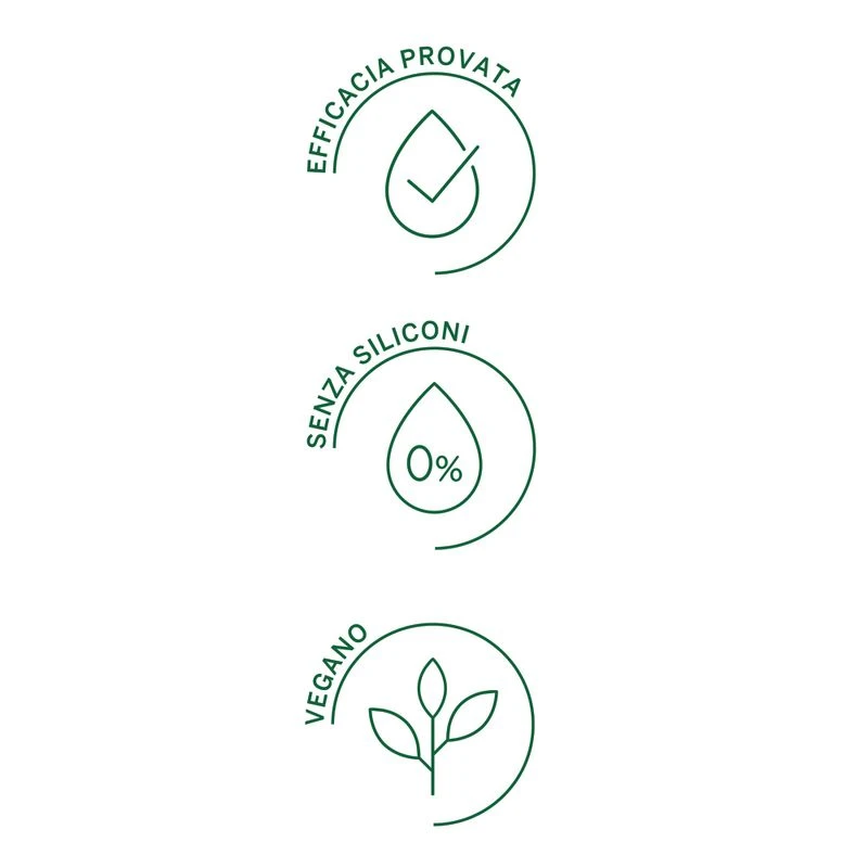 Rausch Balsamo Colorprotettivo All'avocado 200ml 6 Rausch Balsamo Colorprotettivo All'avocado 200ml - immagine 4