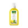Rausch Lozione Antiforfora Alla Tussilaggine 200ml 1 Rausch Lozione Antiforfora Alla Tussilaggine 200ml -Offerte Cosmetici Negozio rausch lozione antiforfora alla tussilaggine 200ml 1 1663853839