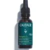 Caudalie Vinergetic Olio Detox Notte 30ml -Offerte Cosmetici Negozio vinergetic olio ntt detox 30ml 78679 1 1 1635352313